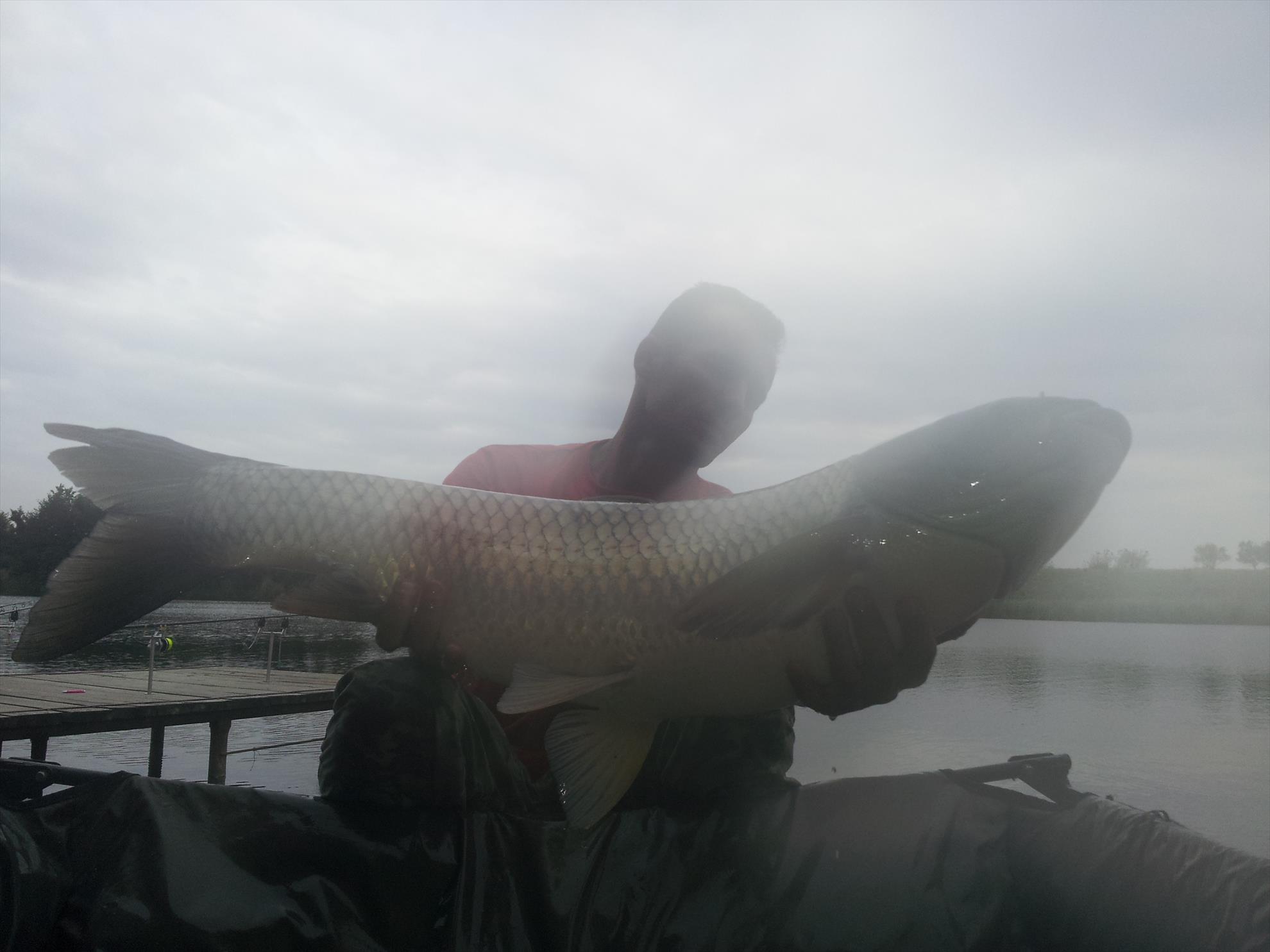 Tancabesti 31 aug- 7 sep  - 20140902184435.jpg